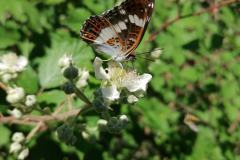 IMG_20230625_091112
