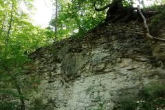 IMG_20230625_094106