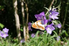 IMG_20230625_102353