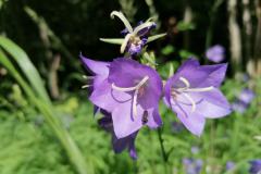 IMG_20230625_102413