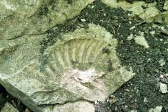 IMG_20230625_103022