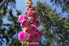 IMG_20230625_110752