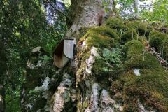 IMG_20230625_115409