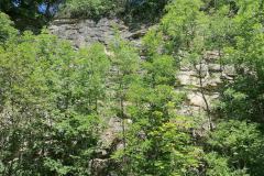 IMG_20230625_122626