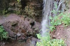 IMG_20230702_100918