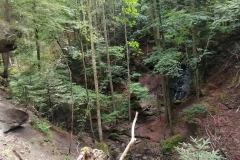 IMG_20230702_104537