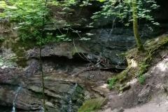 IMG_20230702_104621