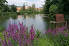 IMG_20230702_143829