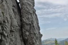 IMG_20230817_110624