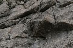 IMG_20230817_132917