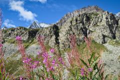 Sommer_2023_Lu-14