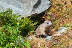 Sommer_2023_Lu-21