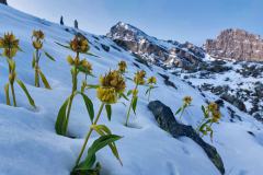 Sommer_2023_Lu-39