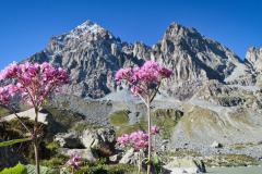 Sommer_2023_Lu-78