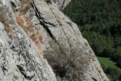 Sommer_2023-203