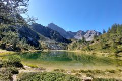 Sommer_2023-221