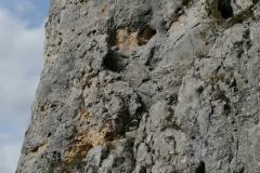 IMG_20230930_145344