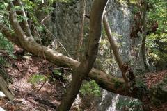 IMG_20230924_141709