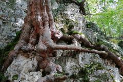 IMG_20230924_141925