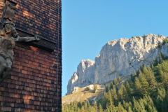 IMG_20231007_080612