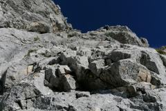 IMG_20231007_111009