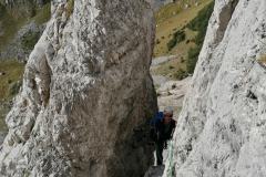 IMG_20231008_095422