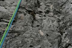 IMG_20231008_101553