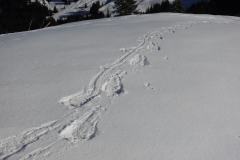20240127_120159_SSTour_Allgaeu_A