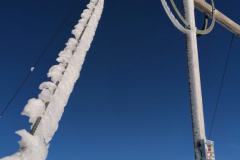 IMG_20240128_124758
