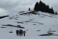 IMG_6385