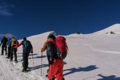 IMG_20240203_123113