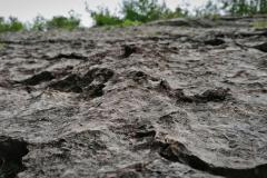 IMG_20210715_143323