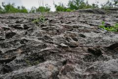 IMG_20210715_143336