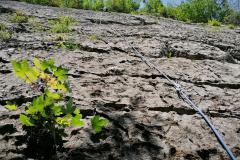 IMG_20210720_131036