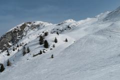 IMG_4475