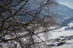 IMG_4478