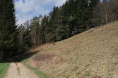 IMG_20220415_113857