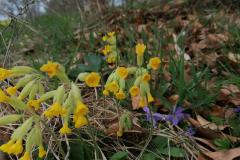 IMG_20220415_120137