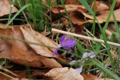 IMG_20220415_120151