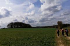 IMG_20220415_120900