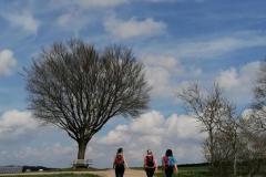 IMG_20220415_122044