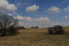 IMG_20220415_143339