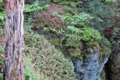 Murgleiter-Etappe-1-16