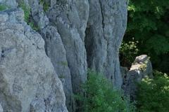 IMG_20220515_110707