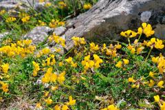 IMG_20220515_113624