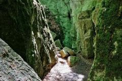 IMG_20220515_122316