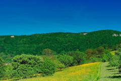 IMG_20220515_164636