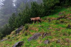 Schlechtwetterwanderung-1