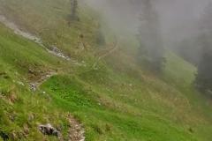 Schlechtwetterwanderung-10