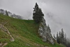 Schlechtwetterwanderung-9